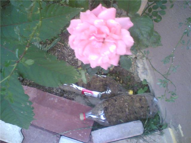 Name:  9.jpg
Views: 5228
Size:  39.6 KB