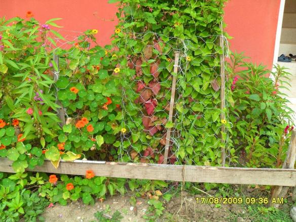 Name:  502.jpg
Views: 11254
Size:  71.6 KB