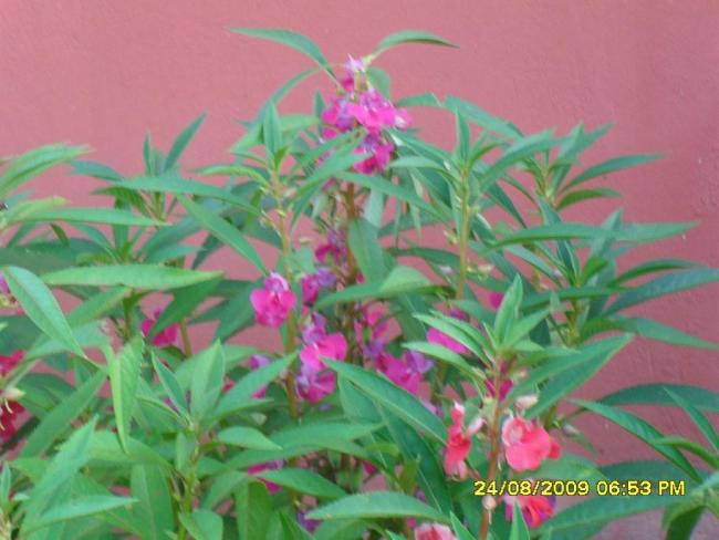 Name:  724.jpg
Views: 2740
Size:  41.8 KB