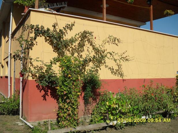Name:  673.jpg
Views: 3150
Size:  70.6 KB