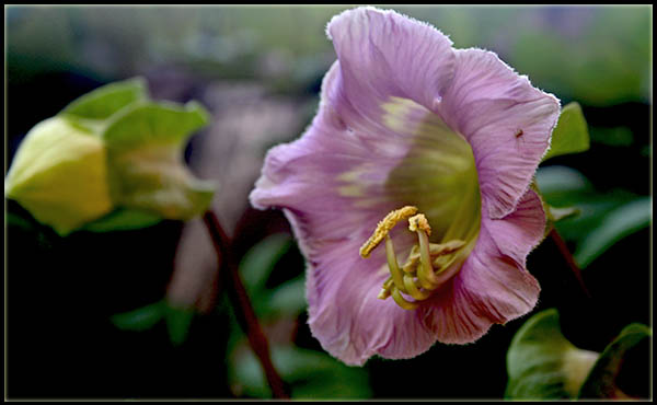 Name:  IMG_5239.JPG
Views: 1516
Size:  51.2 KB