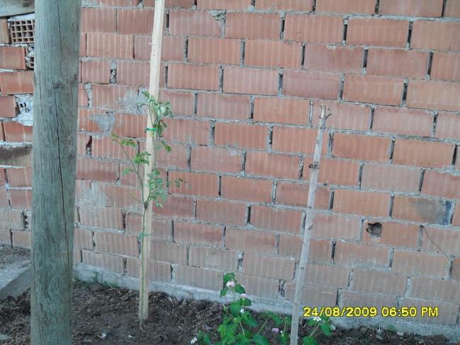Name:  720.jpg
Views: 2770
Size:  55.8 KB