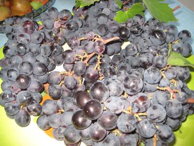 Name:  IMG_0955.jpg
Views: 823
Size:  42.7 KB