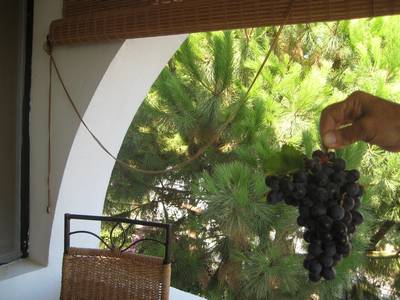 Name:  IMG_0957.jpg
Views: 833
Size:  34.4 KB