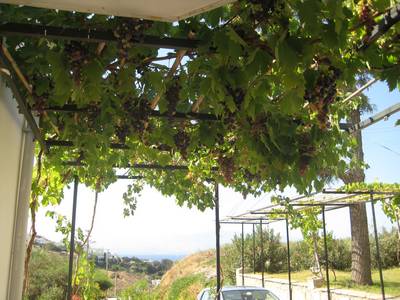 Name:  IMG_0937.jpg
Views: 827
Size:  40.8 KB