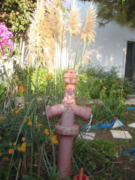 Name:  IMG_1255.jpg
Views: 858
Size:  60.0 KB
