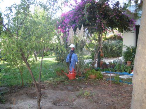 Name:  IMG_1241.jpg
Views: 850
Size:  44.4 KB