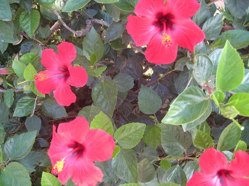 Name:  IMG_0992.jpg
Views: 824
Size:  67.3 KB