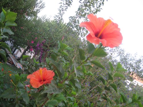Name:  IMG_1159.jpg
Views: 829
Size:  69.8 KB