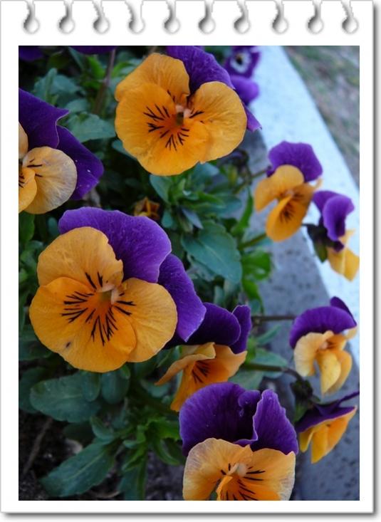 Name:  smenek.jpg
Views: 1093
Size:  54.5 KB