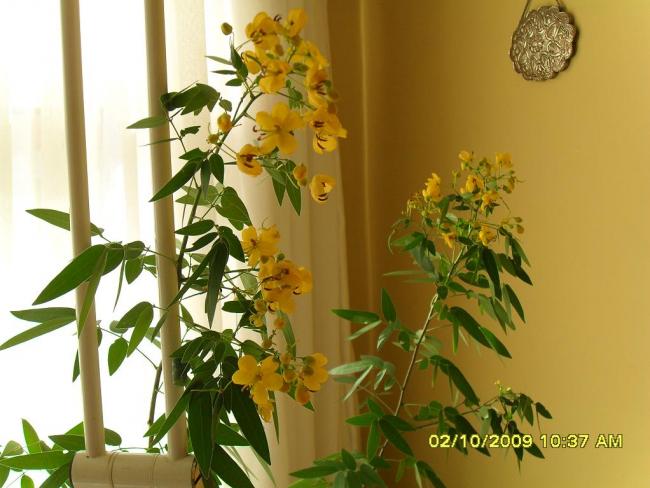 Name:  SDC10760.jpg
Views: 2472
Size:  46.1 KB