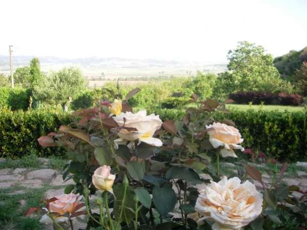 Name:  ithal%201 (600 x 450).jpg
Views: 843
Size:  44.8 KB