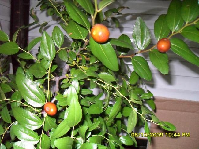 Name:  024.jpg
Views: 2563
Size:  63.4 KB