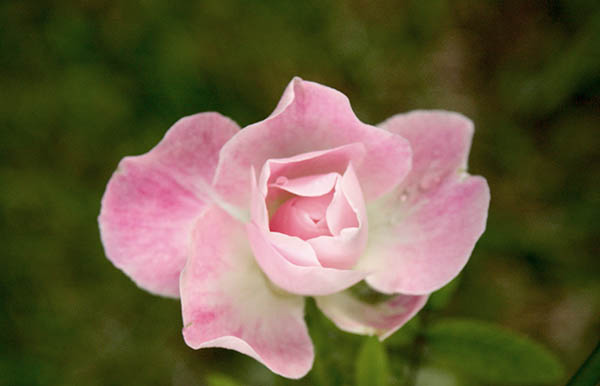 Name:  16_10_2009 008.JPG
Views: 1850
Size:  44.4 KB