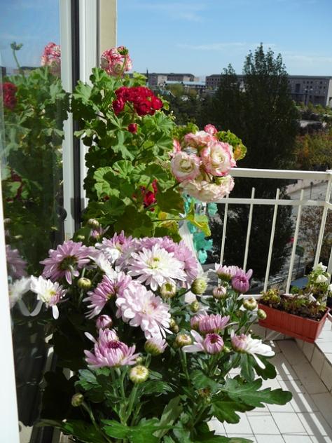 Name:  balkon.jpg
Views: 1323
Size:  63.1 KB