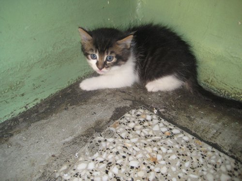 Name:  IMG_0861.jpg
Views: 840
Size:  51.0 KB