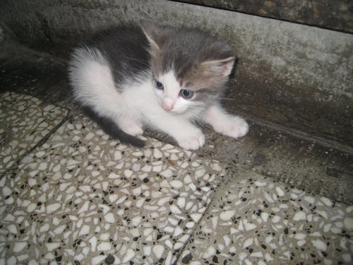 Name:  IMG_0862.jpg
Views: 848
Size:  59.3 KB