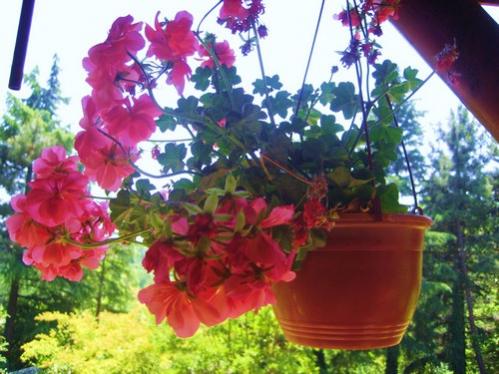 Name:  IMG_0673.jpg
Views: 797
Size:  40.4 KB