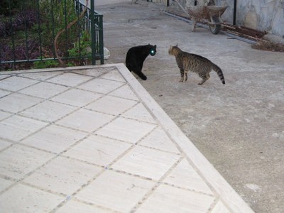 Name:  IMG_0017.jpg
Views: 752
Size:  44.8 KB