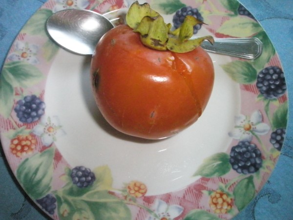 Name:  PA212376 (600 x 450).jpg
Views: 768
Size:  58.4 KB