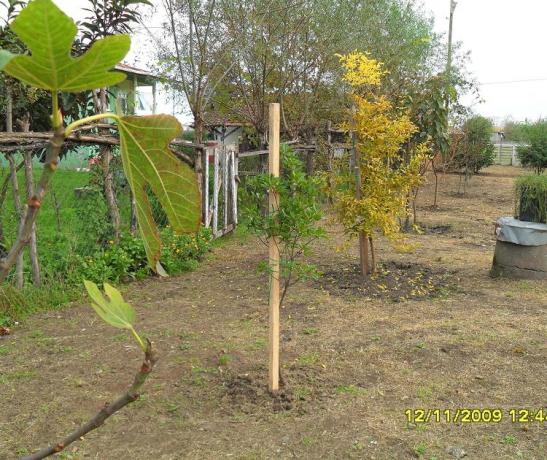 Name:  resimlerim 925.jpg
Views: 6407
Size:  69.7 KB