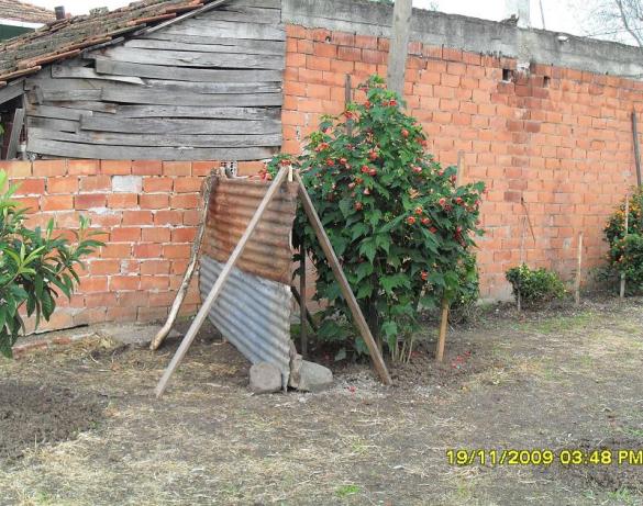 Name:  resimlerim 953.jpg
Views: 6373
Size:  71.1 KB