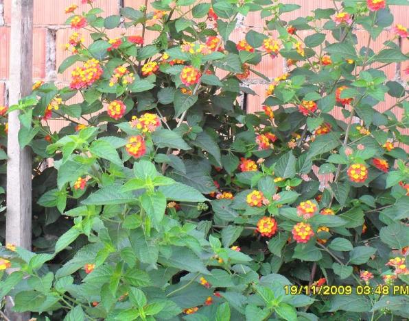 Name:  resimlerim 955.jpg
Views: 6381
Size:  72.3 KB