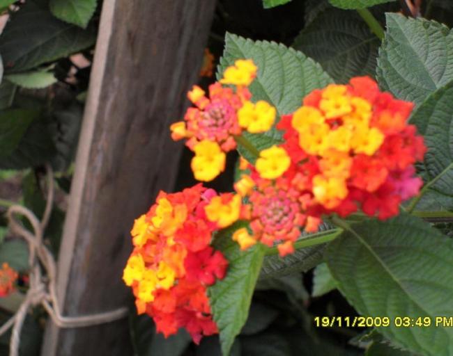 Name:  resimlerim 957.jpg
Views: 6280
Size:  42.5 KB