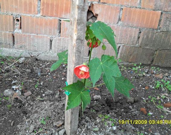 Name:  resimlerim 958.jpg
Views: 6293
Size:  71.2 KB