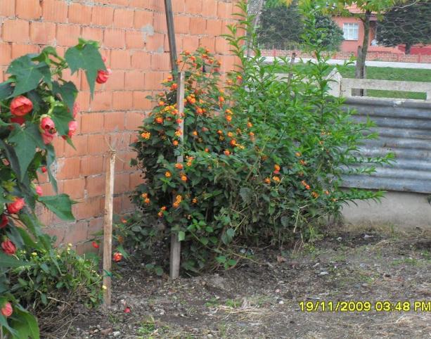 Name:  resimlerim 954.jpg
Views: 6565
Size:  71.6 KB