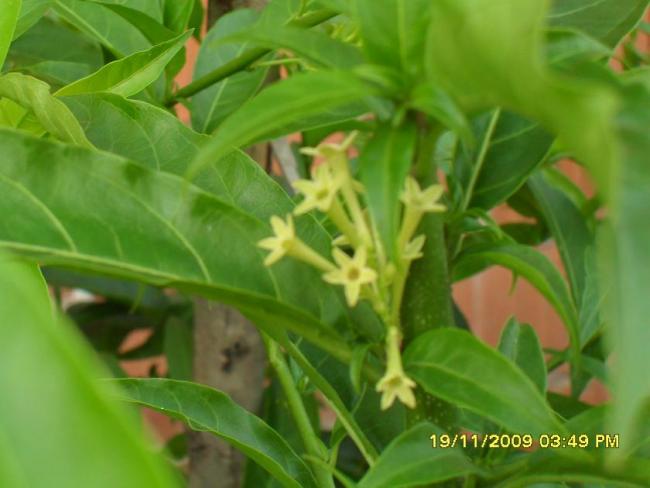 Name:  resimlerim 956.jpg
Views: 6345
Size:  34.8 KB