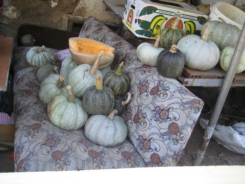 Name:  IMG_1309.jpg
Views: 1012
Size:  66.8 KB