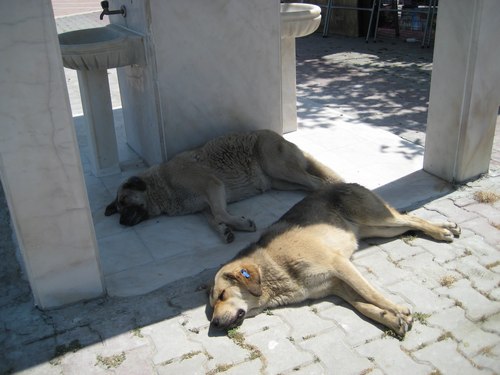 Name:  IMG_0569.jpg
Views: 749
Size:  49.3 KB