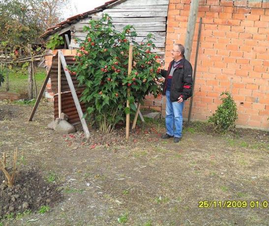 Name:  resimlerim 1005.jpg
Views: 5614
Size:  71.1 KB
