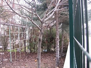 Name:  IMG_3259.JPG
Views: 1890
Size:  35.9 KB
