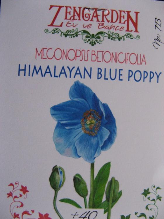Name:  himalaya gelincii.jpg
Views: 763
Size:  44.7 KB