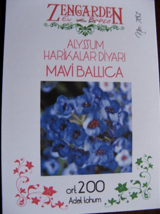 Name:  mavi alyssum-mavi ballca.jpg
Views: 804
Size:  45.5 KB