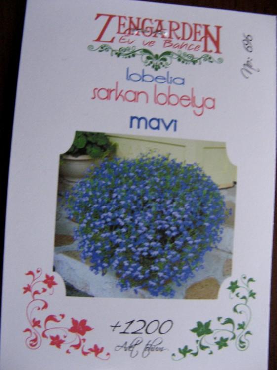 Name:  mavi sarkan lobelya.jpg
Views: 862
Size:  46.5 KB
