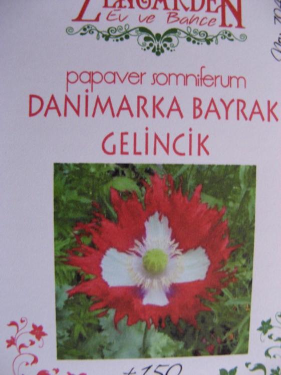 Name:  papaver danimarka gelincii.jpg
Views: 774
Size:  47.5 KB