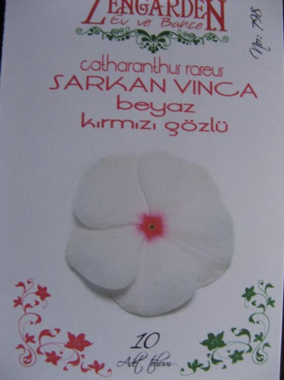 Name:  vinca sarkan.jpg
Views: 1031
Size:  35.1 KB