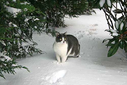 Name:  023.JPG
Views: 991
Size:  64.7 KB