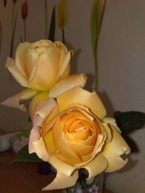Name:  cepten 243.jpg
Views: 709
Size:  30.7 KB