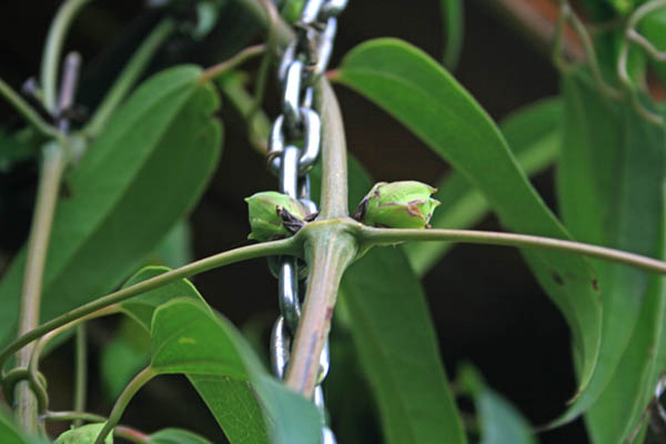 Name:  036.JPG
Views: 1126
Size:  55.7 KB