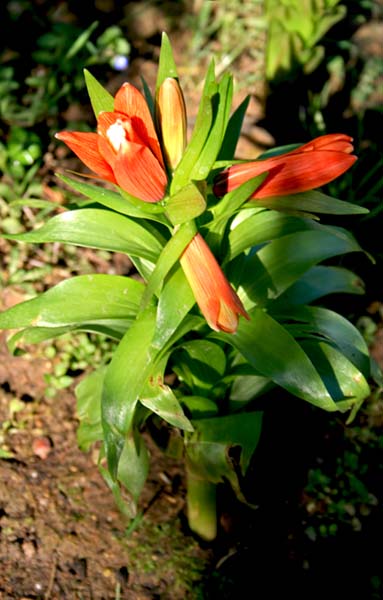 Name:  023.JPG
Views: 1118
Size:  69.9 KB