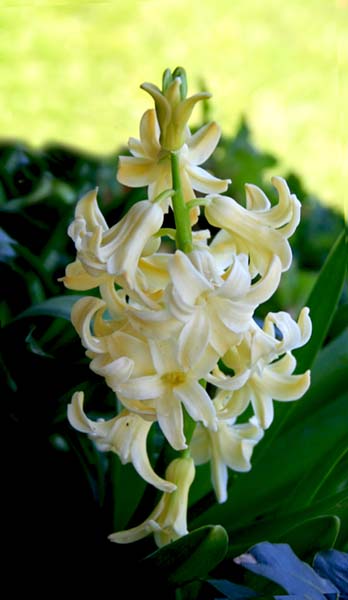 Name:  031.JPG
Views: 1140
Size:  50.1 KB