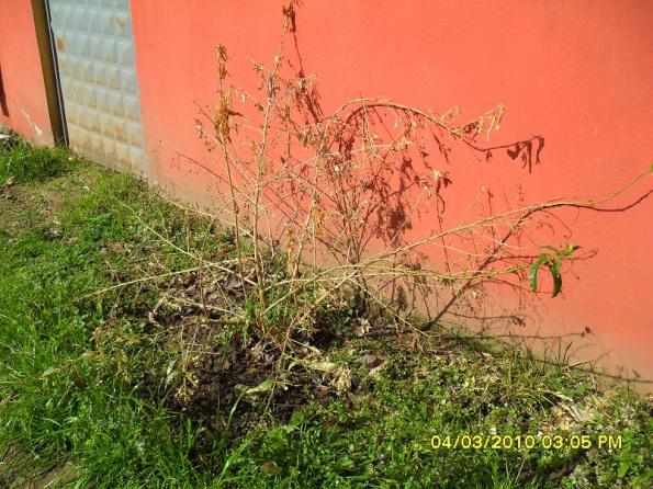 Name:  resimlerim 1501.jpg
Views: 1053
Size:  70.2 KB