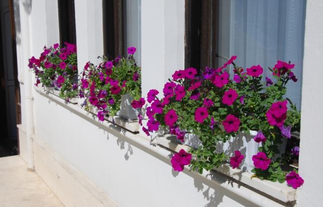 Name:  DSC_0083.jpg
Views: 7257
Size:  41.7 KB