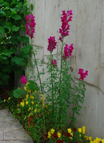 Name:  DSC_0202.jpg
Views: 4974
Size:  38.9 KB