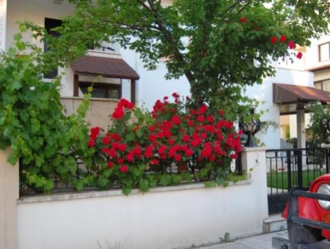 Name:  DSC_0024.jpg
Views: 4096
Size:  33.2 KB