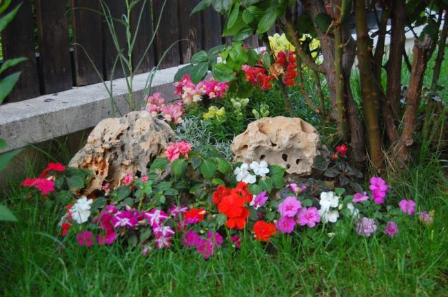 Name:  DSC_0009.jpg
Views: 4763
Size:  62.1 KB